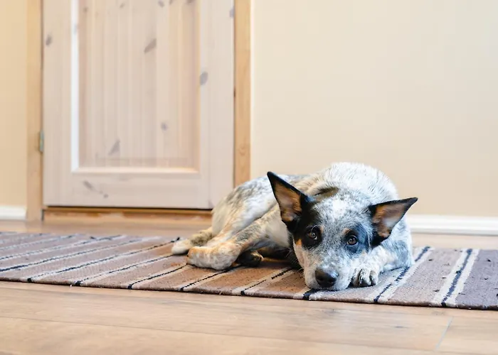 Old Town Apartament *